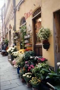 flowers in italy