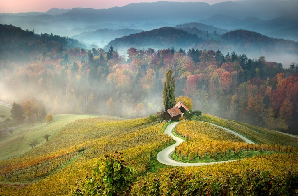 Slovenia Love Road