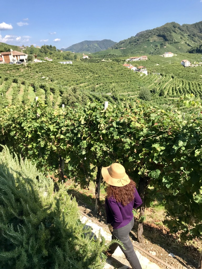 Jayme in Vineyard